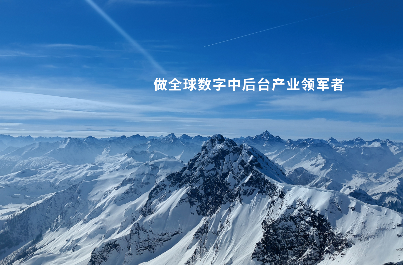 济宁正邦表面处理剂有限公司